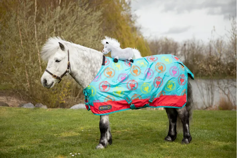 Hy Equestrian Thelwell Ponies - Tarquin the Pony-3